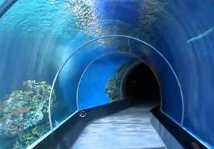 play Escape From Sea Aquarium