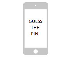Guess The Pin