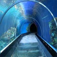 play Escape-From-Sea-Aquarium-Knfgame