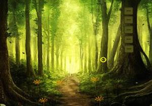 play Lost Girl Fantasy Forest Escape