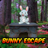 play Bunny Escape