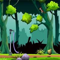 play Forest Little Bunny Rescue