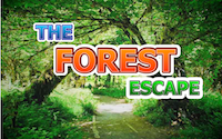 play The Forest Escape