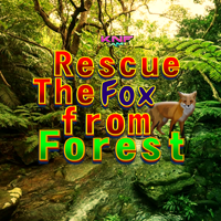 play Rescue The Fox From Forest Escape