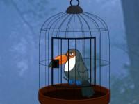 play Toucan Rescue From Cage