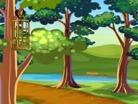 play School Boy Trip Escape