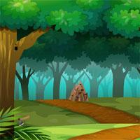 play Zoo School Boy Trip Escape