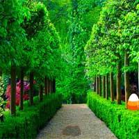 Green Garden Escape Mirchigames