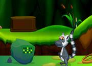 play Naughty Raccoon Adventur