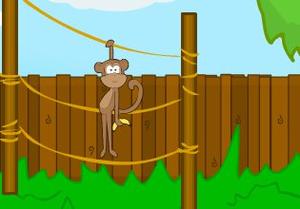 play Mission Escape Zoo