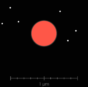 play Collidle - Beta