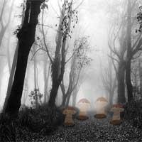 play Zooo Swarthy Forest Escape Zooogames