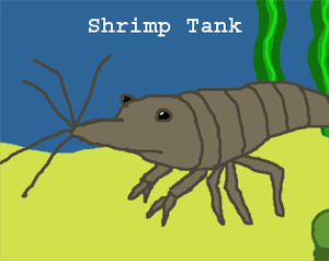 play Shrimp Tank