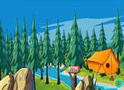 play Rescue The Baby Escape