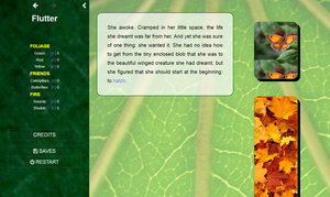 play Flutter