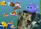 play Flower Horn Fish