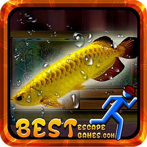 play Steal Arowana Fish