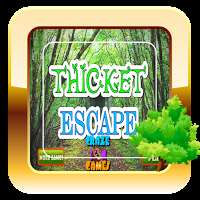play Thicket Escape