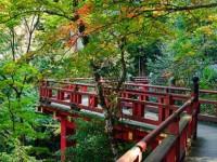 play Escape From Japanese Garden