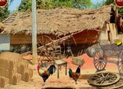 play Can You Escape Village