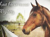 play Lost Horse Rescue Mystery