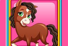 Horse Makeover Hair Salon 2