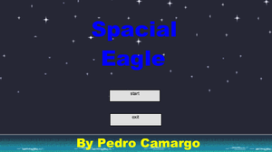 play Spacial Eagles - Pedro Camargo 13 Anos