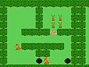 play Hare'S Harvest Game