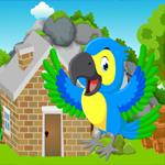 play Cute Parrot Rescue