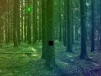 play Beg Diamond Forest Escape