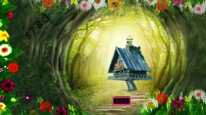 play Tazzy Parrot Escape