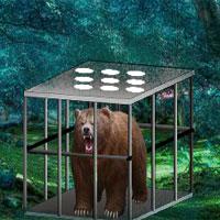 play Bear-Escape-8Bgames