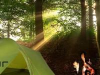 play Weg Forest Escape