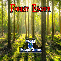 play Weg Forest Escape