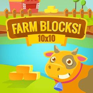 play Farm Blocks 10X10