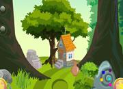 play Cute Fox Rescue Escape