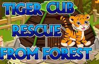 play Tiger Cub Rescue From Forest Escape