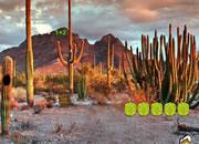 play Perfect Desert Escape
