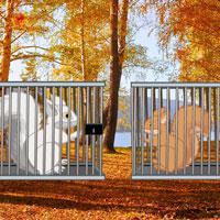 play Escape-Game-Save-The-Squirrel-Love-Wowescape