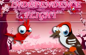 play Independence Flight