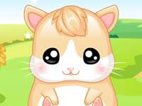 play My Baby Hamster