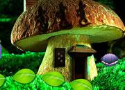 play Mushroom Fantasy Forest Escape