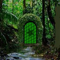 play Deep Rainforest Escape