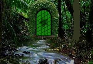 play Deep Rainforest Escape