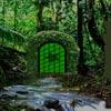 play Deep Rainforest Escape