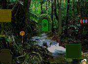 play Deep Rainforest Escape