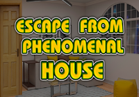 play Escape From Phenomenal House