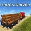 Truck Driver Cargo 3D