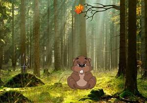 play Beaver Forest Escape