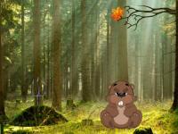 play Beaver Forest Escape